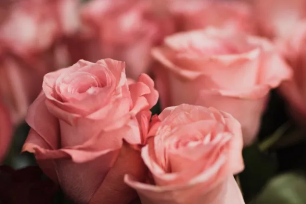 Букет цветов: как выбрать идеальный букет для любого праздника