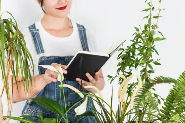 Дендрологическая экспертиза: оценка состояния деревьев, выявление заболеваний